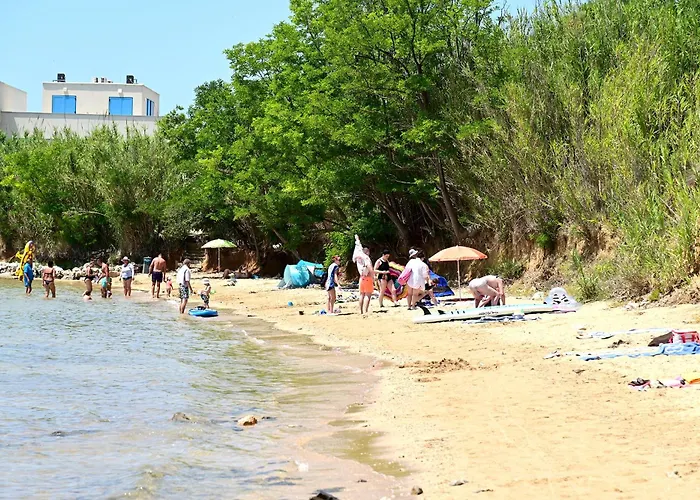 Tisa بريفلاكا